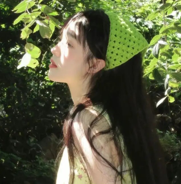 雌雄双谍
